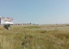 Teren 2.500 mp, Sola 33, zona Palazu Mare, Constanta