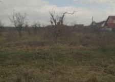 Teren 6641 mp, Glambocu, Arges