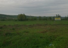 Teren agricol 3026 mp, Strehaia