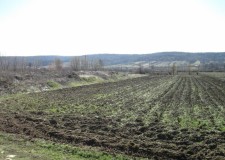 Teren agricol (2 loturi) 4951 mp, Strehaia