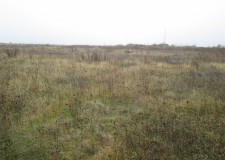 Teren 5000 mp, Chiajna, Ilfov