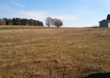 Teren 1000 mp, Strada Arcasilor, Galati