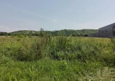 Teren 7.396 mp, Aninoasa, Judet Dambovita