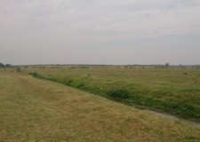 Teren 38900 mp in Bratovoiesti, Craiova