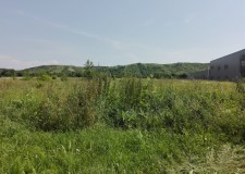 Teren 7.396 mp, Aninoasa, Judet Dambovita