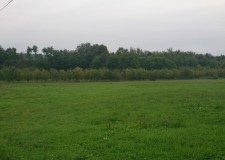 Teren 13413 mp, Radesti, jud. Arges