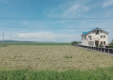 Teren 7.497 mp, Pascani, Judet Iasi