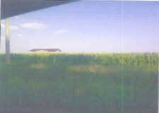 Teren 5.500 mp, Vidra, Ilfov