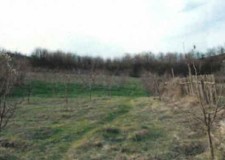 Teren 7.500 mp, Valea Mare, Arges