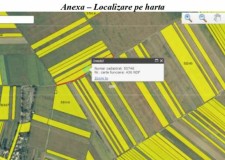 Teren 8.000 mp, Santaul Mare, Comuna Bors, Judet Bihor