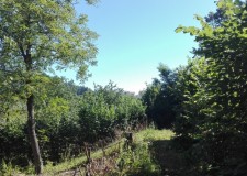 Teren 2250 mp, str. Dupa Iniste, Brasov