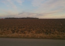 Teren 18000 mp, Balta Doamnei, Prahova