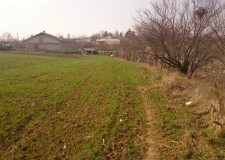 Teren 8036 mp, intravilan arabil, Butimanu, Dambovita