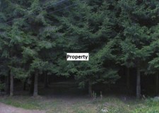 Teren 10.000 mp, Soseaua Zamora, Sinaia, Judet Prahova