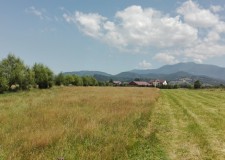 Teren 5.000 mp, Rasnov, Brasov