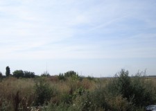 Teren 4.000 mp, Buftea