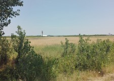 Teren 9.689 mp, Comuna Corbii Mari, Judet Dambovita