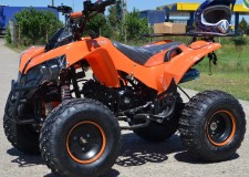 Atv Montain Warrior 125cc, Roti de 8 inch