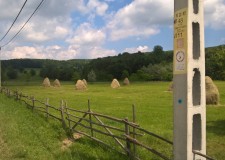 teren intravilan langa padure