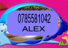 VALABIL PENTRU DOAMNE SERIOASE