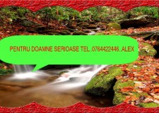 DORESC O RELATIE SERIOASA CU O DOAMNA